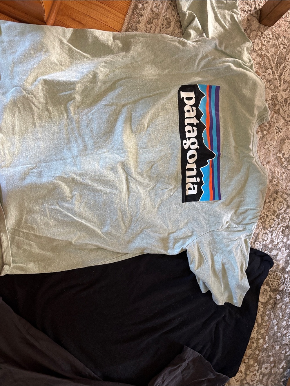 Patagonia Men’s Short Sleeve Tee - Black, Charcoal, Sage Green - Picture 4 of 5